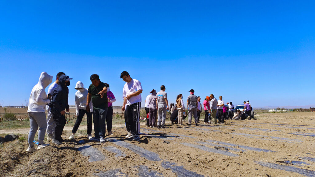 走进田园 播种希望|龙海达物流春种团建活动