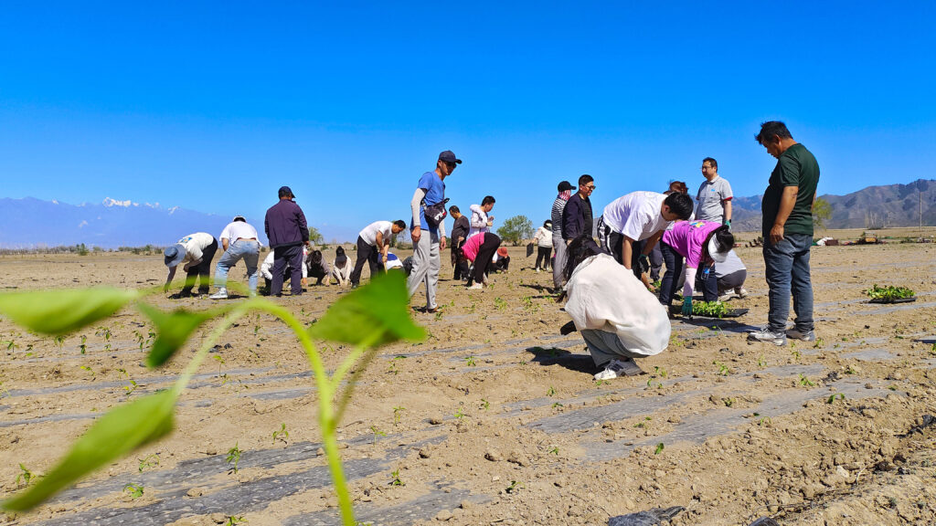 走进田园 播种希望|龙海达物流春种团建活动