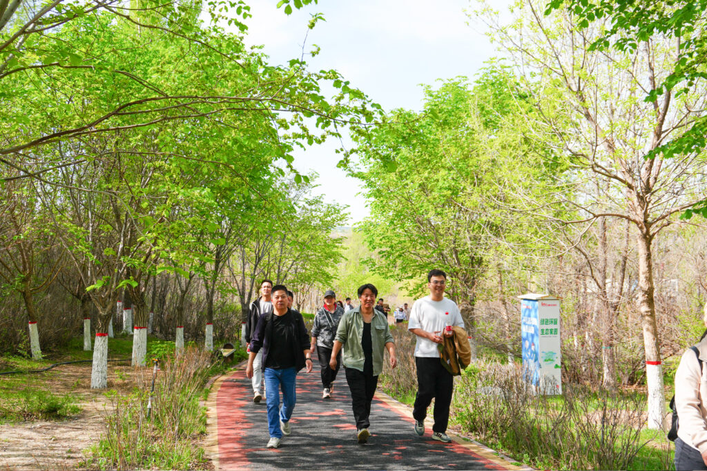 绿径同行·步筑新途 | 龙海达物流团队徒步团建之旅